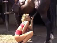 Woman enjoying complete penetration of horse